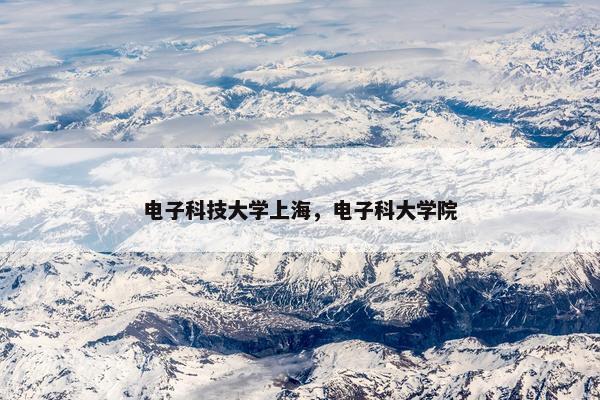 电子科技大学上海，电子科大学院