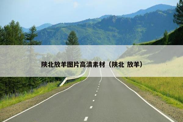 陕北放羊图片高清素材（陕北 放羊）