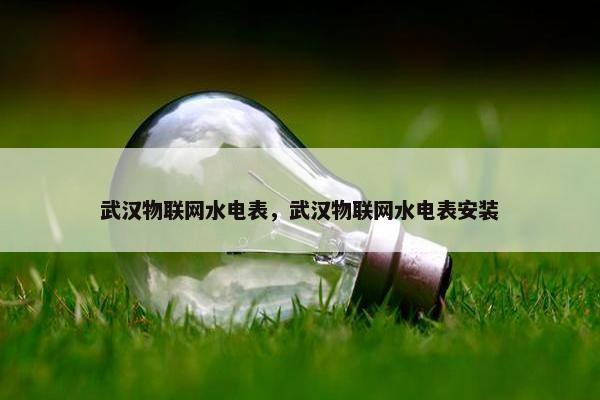 武汉物联网水电表，武汉物联网水电表安装