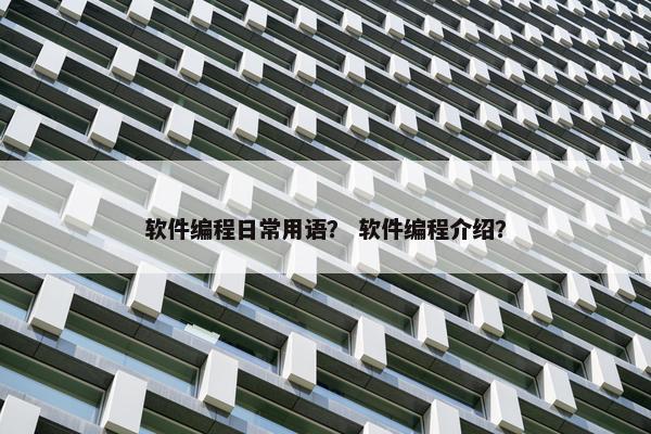 软件编程日常用语？ 软件编程介绍？