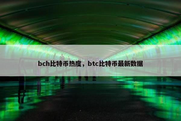 bch比特币热度，btc比特币最新数据
