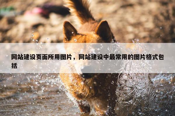 网站建设页面所用图片，网站建设中最常用的图片格式包括