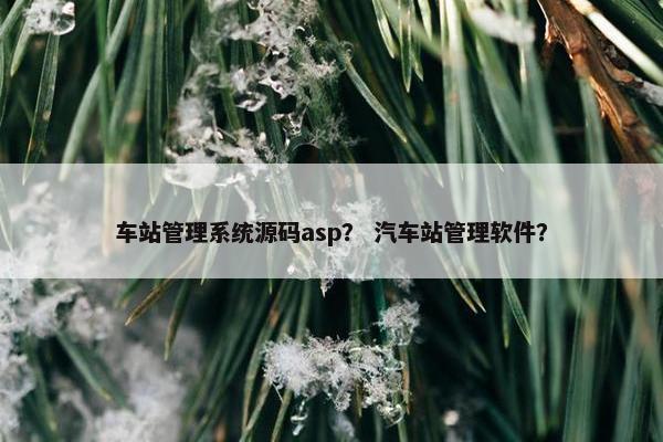 车站管理系统源码asp？ 汽车站管理软件？