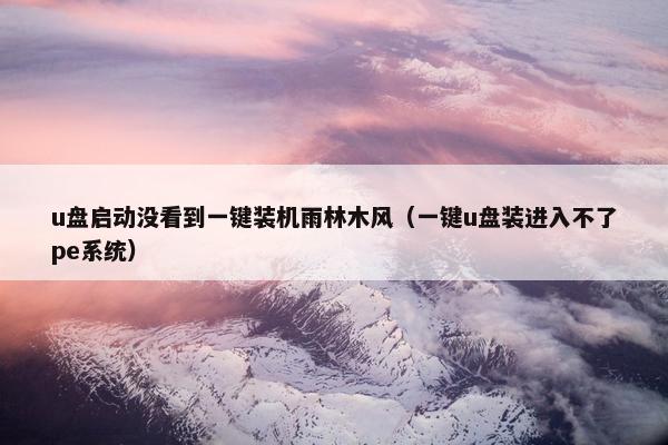 u盘启动没看到一键装机雨林木风（一键u盘装进入不了pe系统）