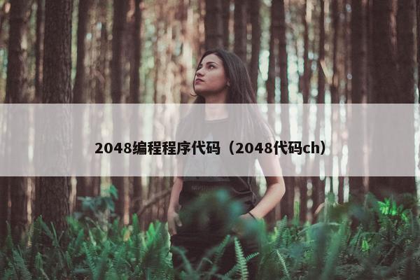 2048编程程序代码（2048代码ch）