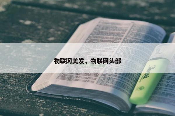 物联网美发，物联网头部