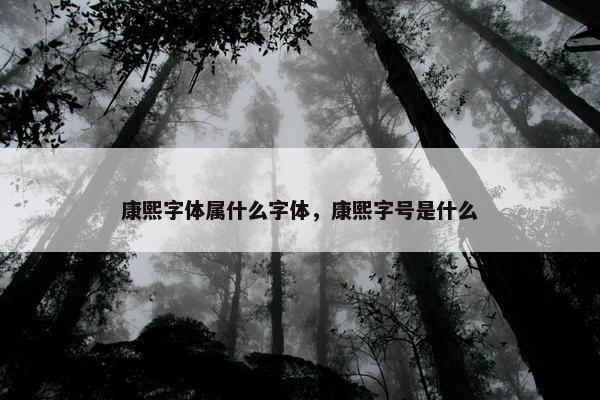 康熙字体属什么字体，康熙字号是什么
