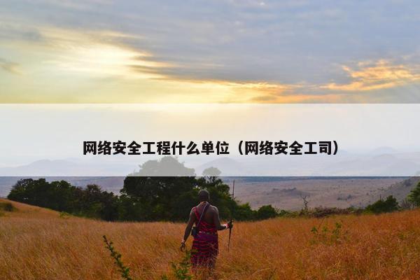 网络安全工程什么单位（网络安全工司）