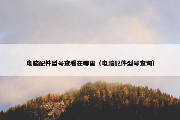 电脑配件型号查看在哪里（电脑配件型号查询）