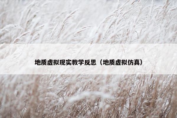 地质虚拟现实教学反思（地质虚拟仿真）