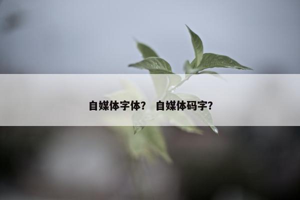 自媒体字体？ 自媒体码字？
