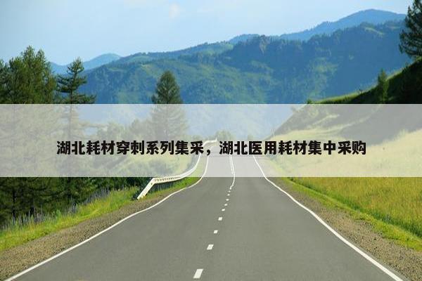 湖北耗材穿刺系列集采，湖北医用耗材集中采购