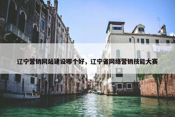 辽宁营销网站建设哪个好，辽宁省网络营销技能大赛