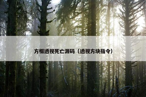 方框透视死亡源码（透视方块指令）