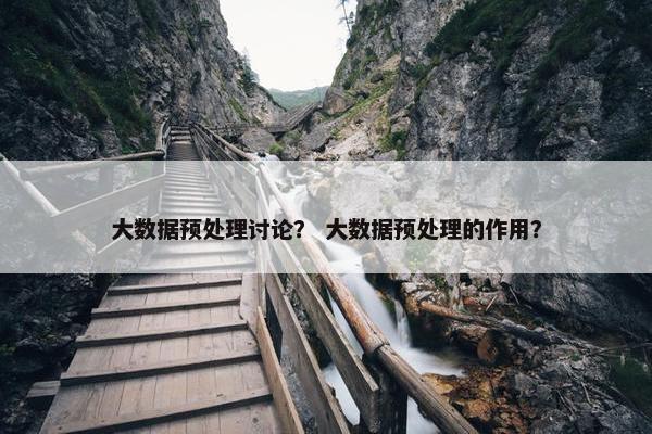 大数据预处理讨论？ 大数据预处理的作用？