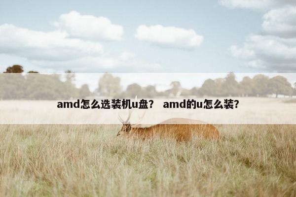 amd怎么选装机u盘？ amd的u怎么装？