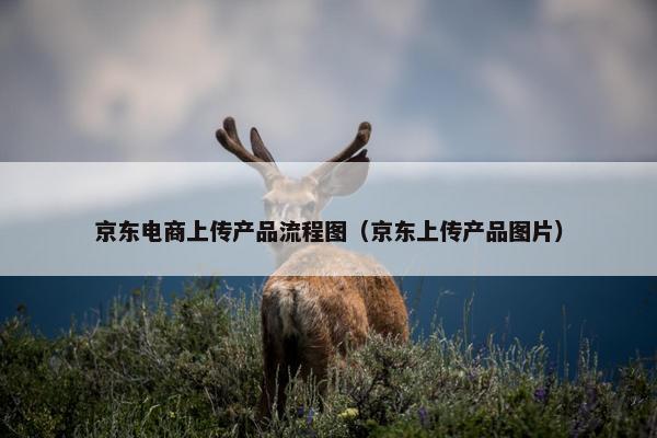 京东电商上传产品流程图（京东上传产品图片）