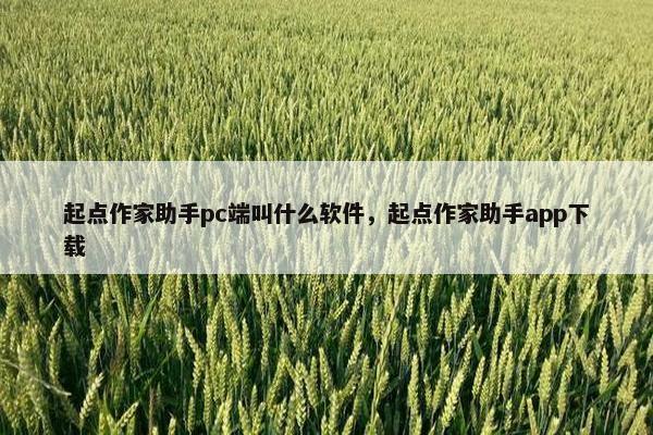 起点作家助手pc端叫什么软件，起点作家助手app下载