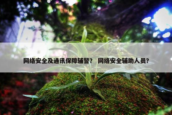 网络安全及通讯保障辅警？ 网络安全辅助人员？