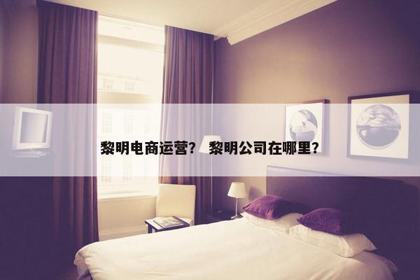 黎明电商运营？ 黎明公司在哪里？