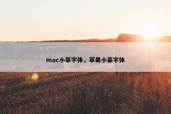 mac小篆字体，苹果小篆字体