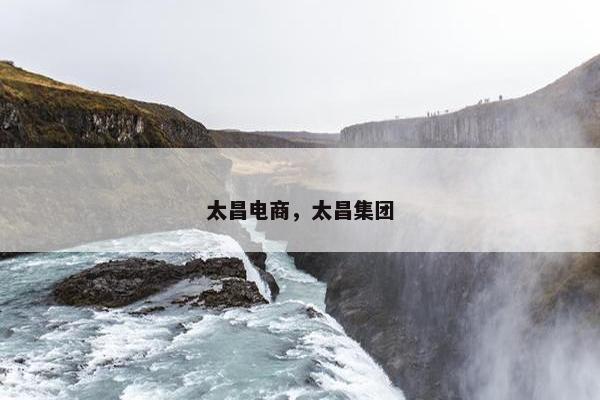 太昌电商，太昌集团