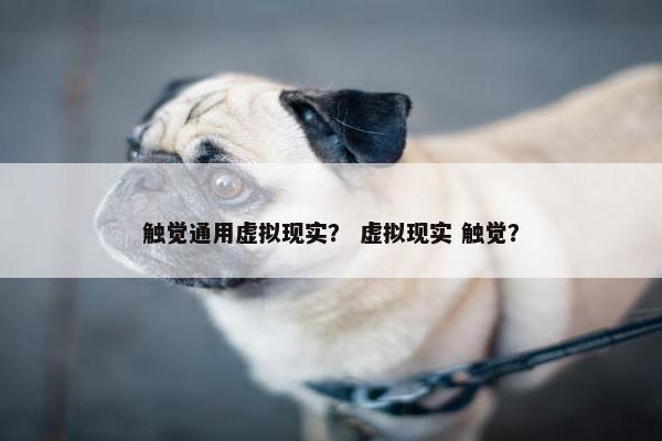 触觉通用虚拟现实？ 虚拟现实 触觉？
