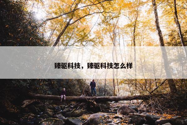 臻驱科技，臻驱科技怎么样