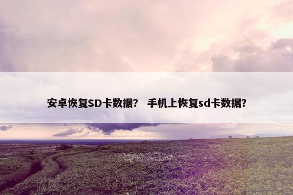 安卓恢复SD卡数据？ 手机上恢复sd卡数据？