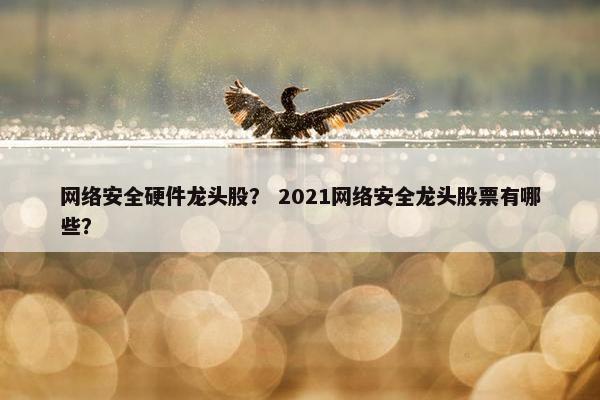 网络安全硬件龙头股？ 2021网络安全龙头股票有哪些？