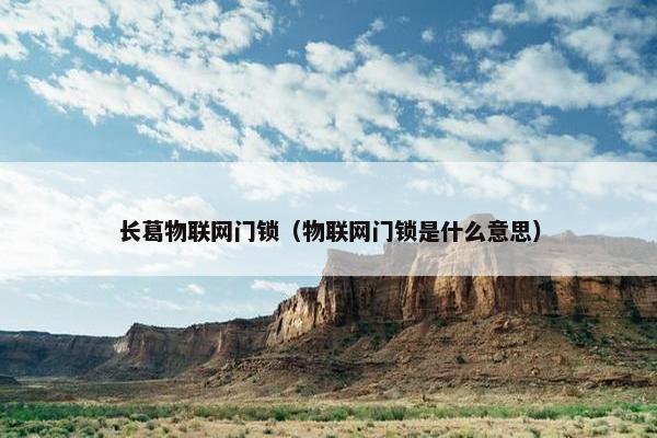 长葛物联网门锁（物联网门锁是什么意思）