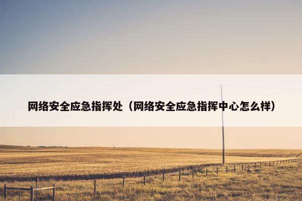 网络安全应急指挥处（网络安全应急指挥中心怎么样）
