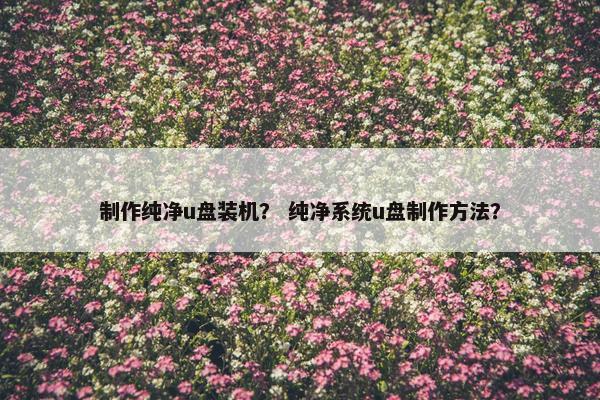 制作纯净u盘装机？ 纯净系统u盘制作方法？