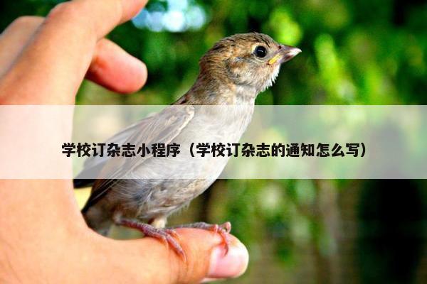 学校订杂志小程序（学校订杂志的通知怎么写）