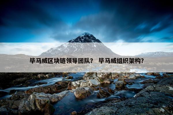 毕马威区块链领导团队？ 毕马威组织架构？