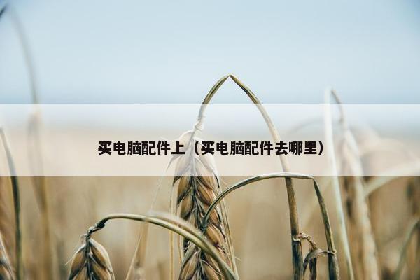 买电脑配件上（买电脑配件去哪里）