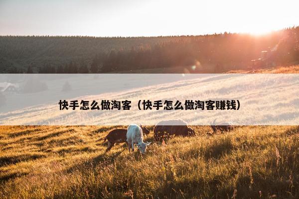快手怎么做淘客（快手怎么做淘客赚钱）
