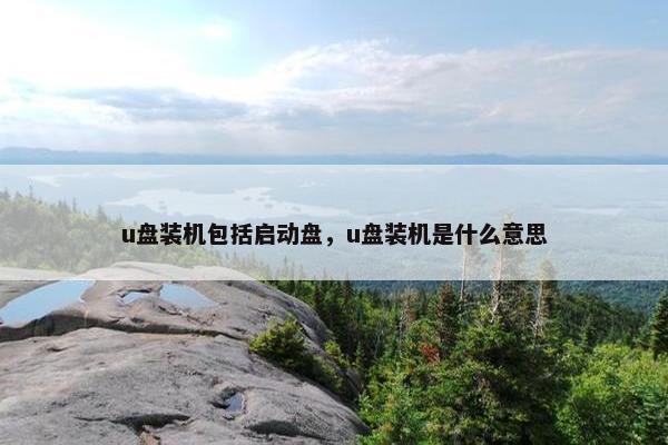 u盘装机包括启动盘，u盘装机是什么意思