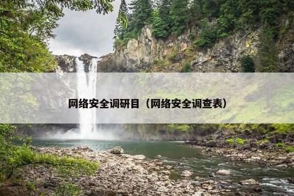 网络安全调研目（网络安全调查表）