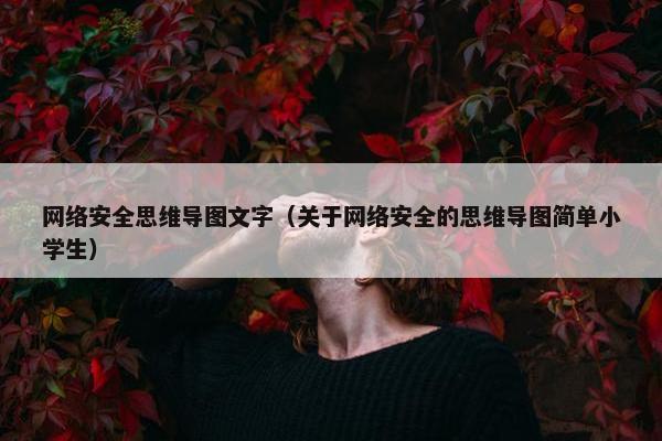 网络安全思维导图文字（关于网络安全的思维导图简单小学生）