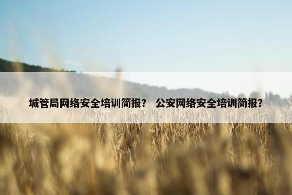 城管局网络安全培训简报？ 公安网络安全培训简报？