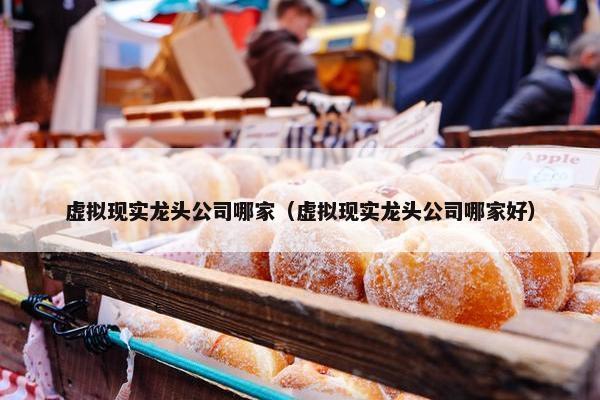 虚拟现实龙头公司哪家（虚拟现实龙头公司哪家好）