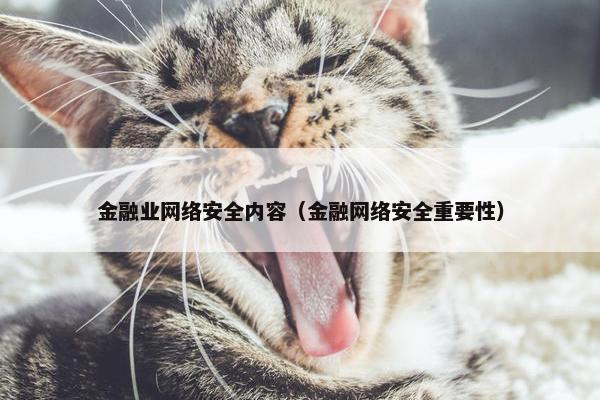 金融业网络安全内容（金融网络安全重要性）