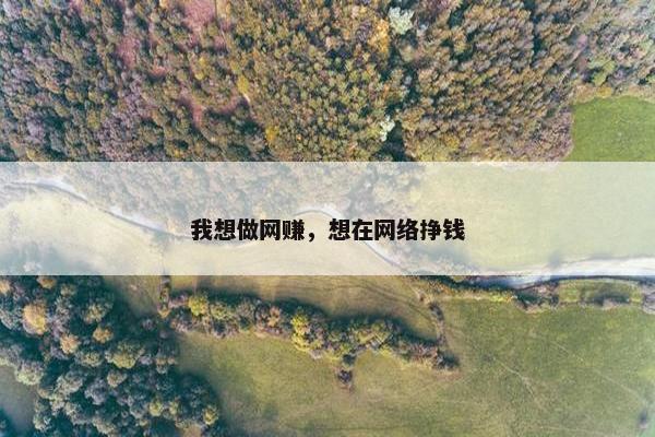 我想做网赚，想在网络挣钱
