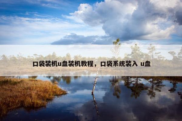 口袋装机u盘装机教程，口袋系统装入 u盘