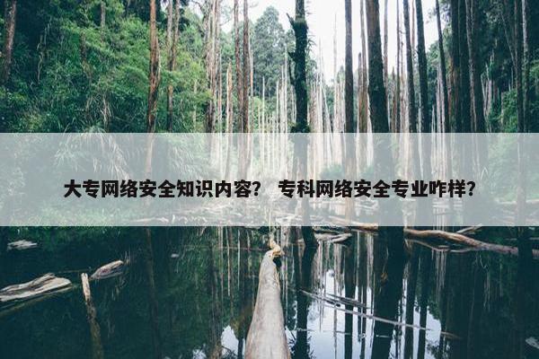 大专网络安全知识内容？ 专科网络安全专业咋样？