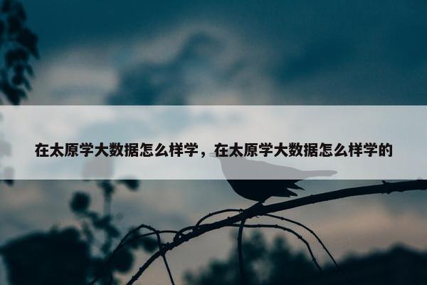 在太原学大数据怎么样学，在太原学大数据怎么样学的