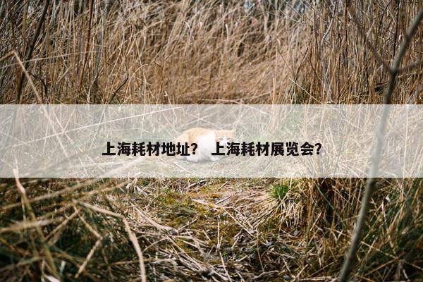 上海耗材地址？ 上海耗材展览会？