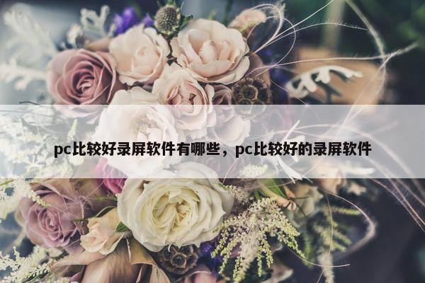 pc比较好录屏软件有哪些，pc比较好的录屏软件