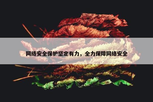网络安全保护坚定有力，全力保障网络安全
